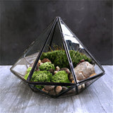 Glass Diamond Terrarium